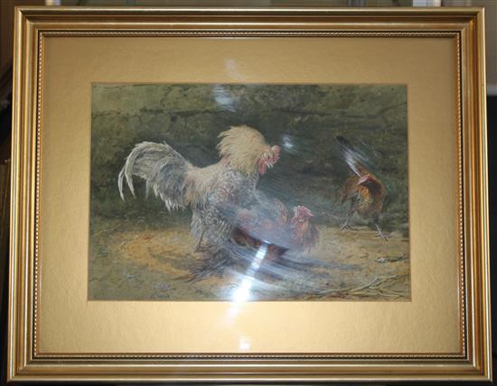 George Hickin (fl.1858-1877) Fighting cocks, 12.5 x 18.5in.